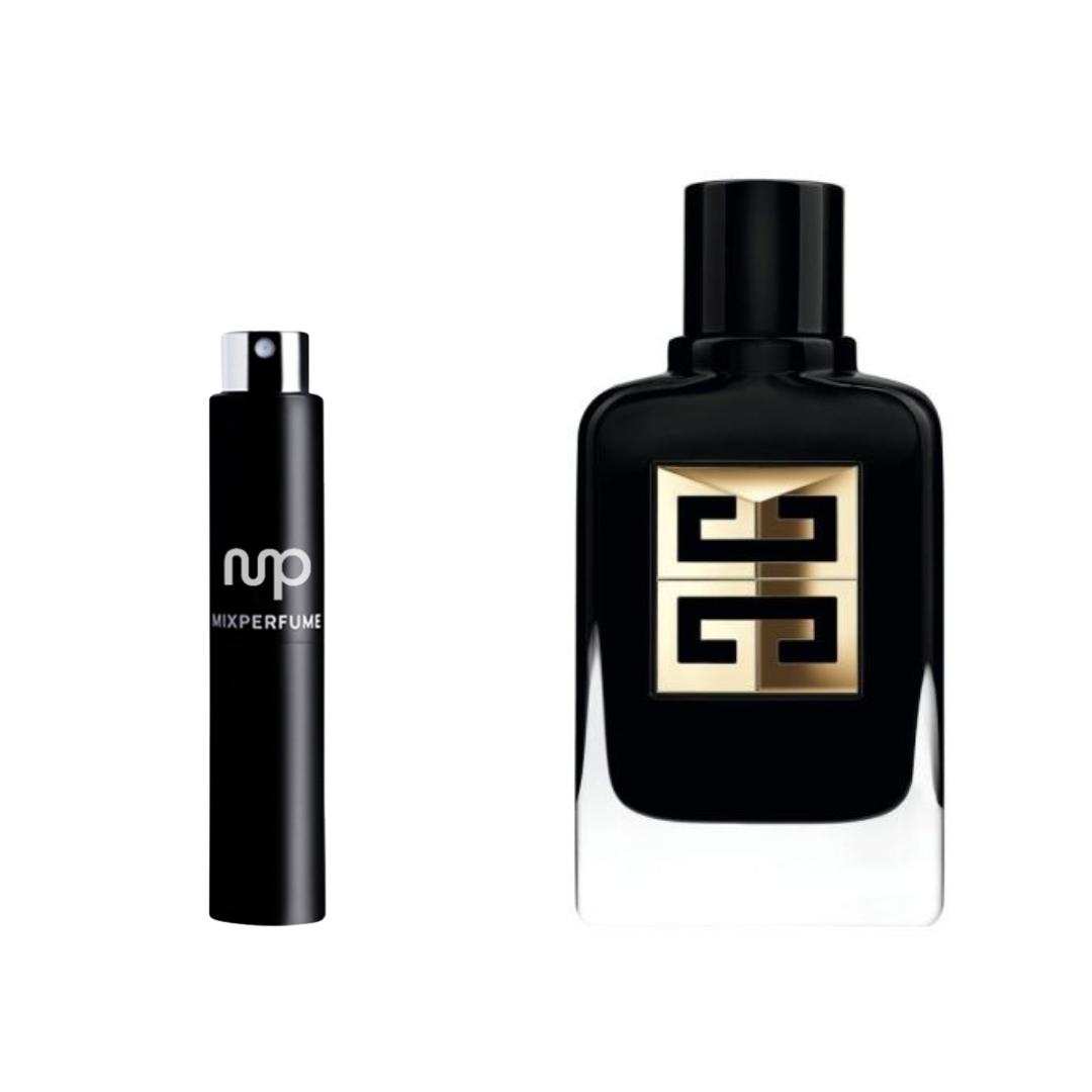 Gentleman Society Ambrée