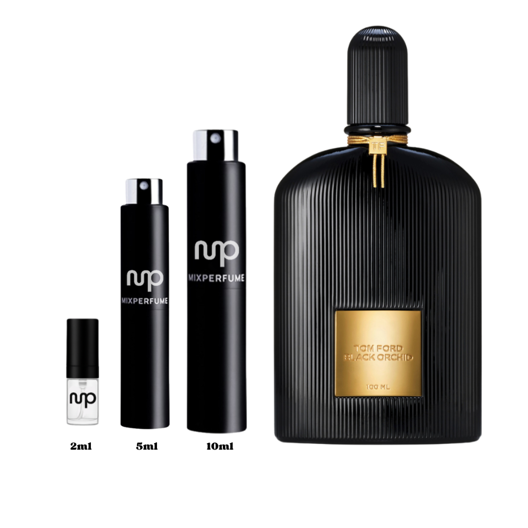 Black Orchid