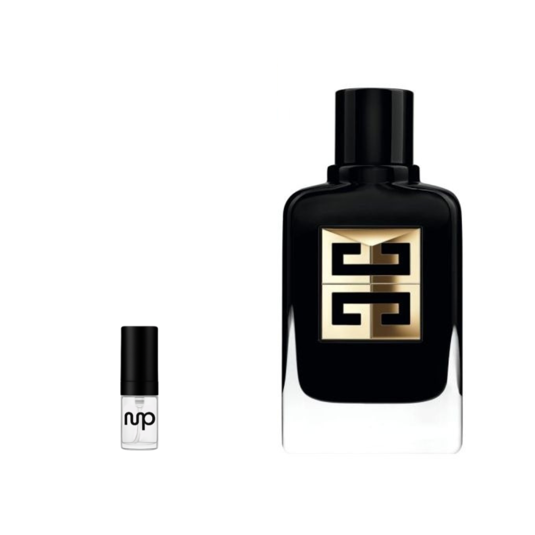 Gentleman Society Ambrée