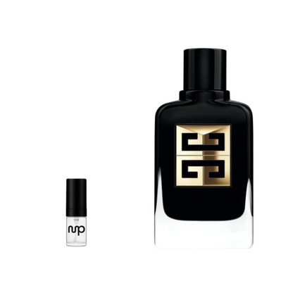 Gentleman Society Ambrée