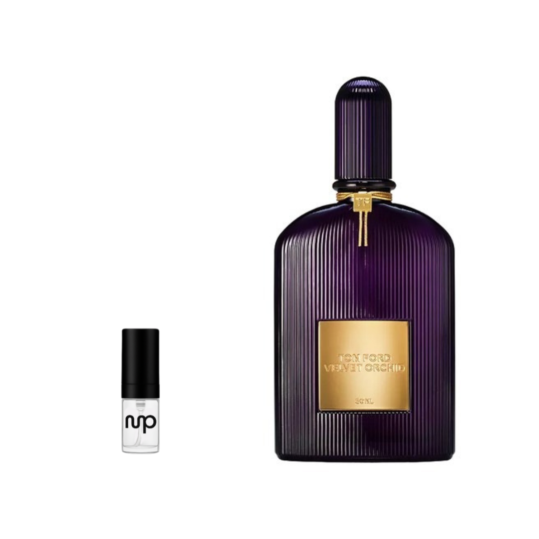 Velvet Orchid