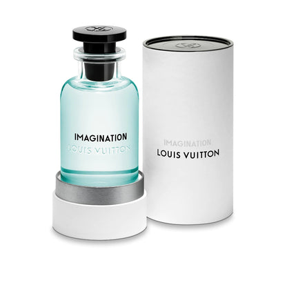Imagination